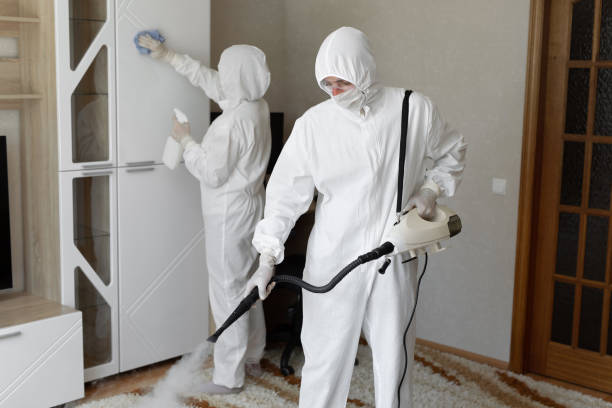 Best Mold Damage Repair  in Manchester, OH