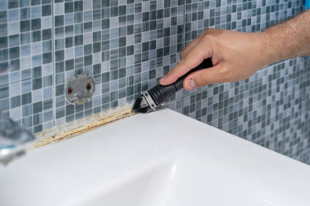 Best Local Mold Removal Service  in Manchester, OH