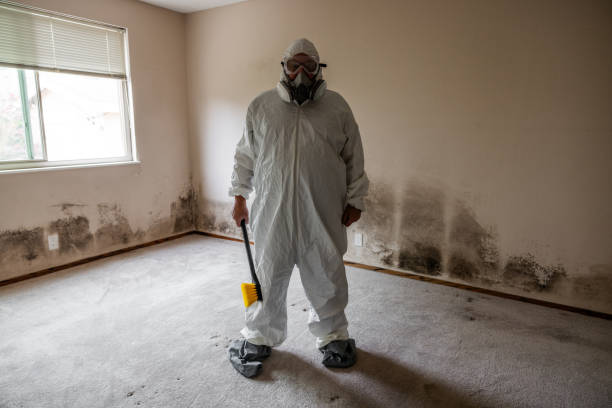 Water Damage Restoration in Manchester, OH